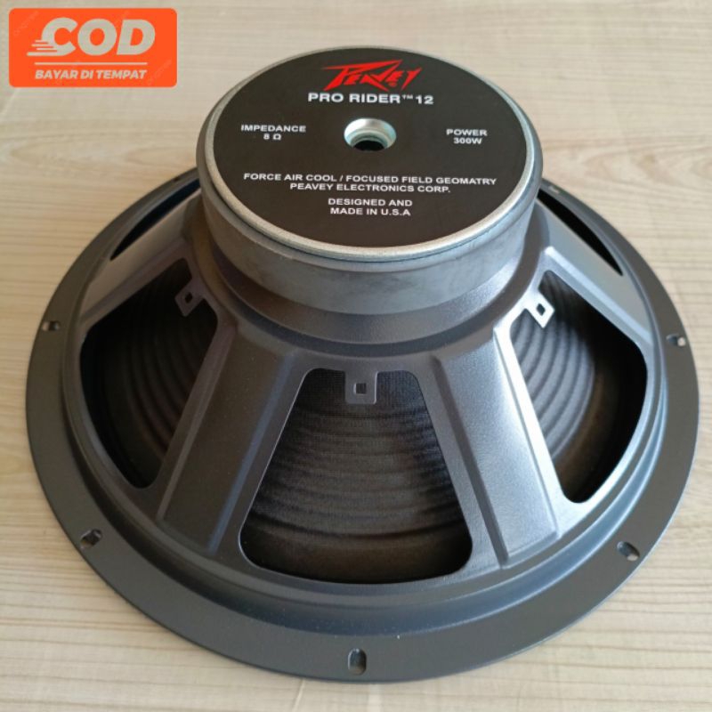 Speaker feavey fullrange 12inch