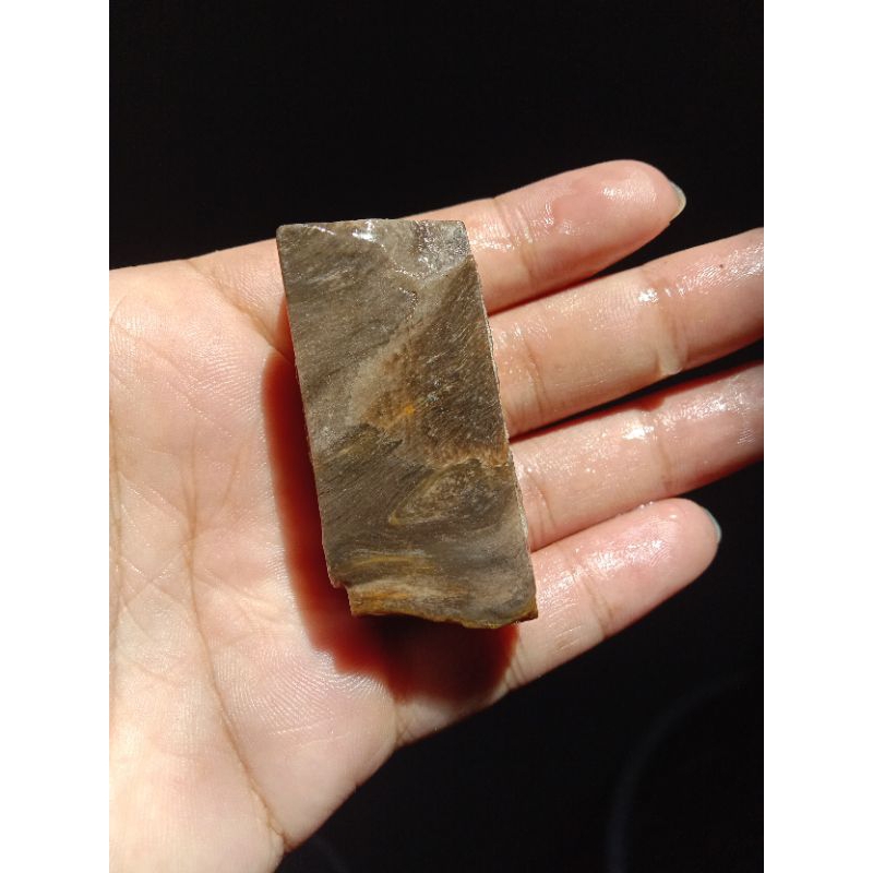 Rough Bahan Fosil Kelor Kristal