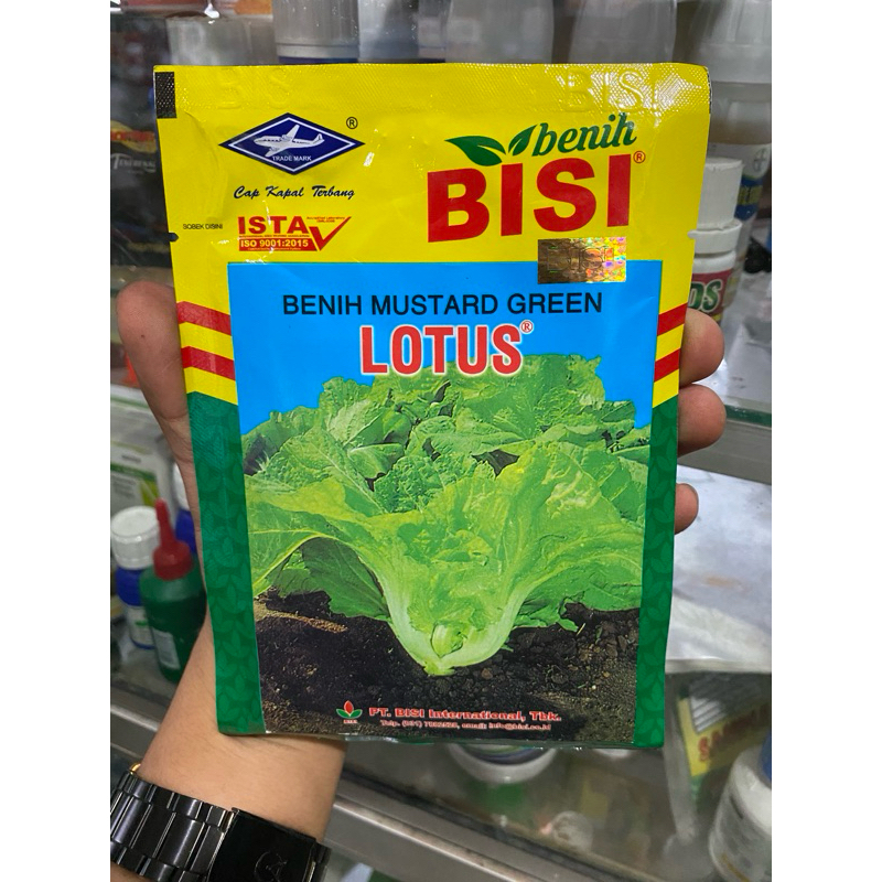 Benih bibit lotus sawi pahit kemasan 50 gram