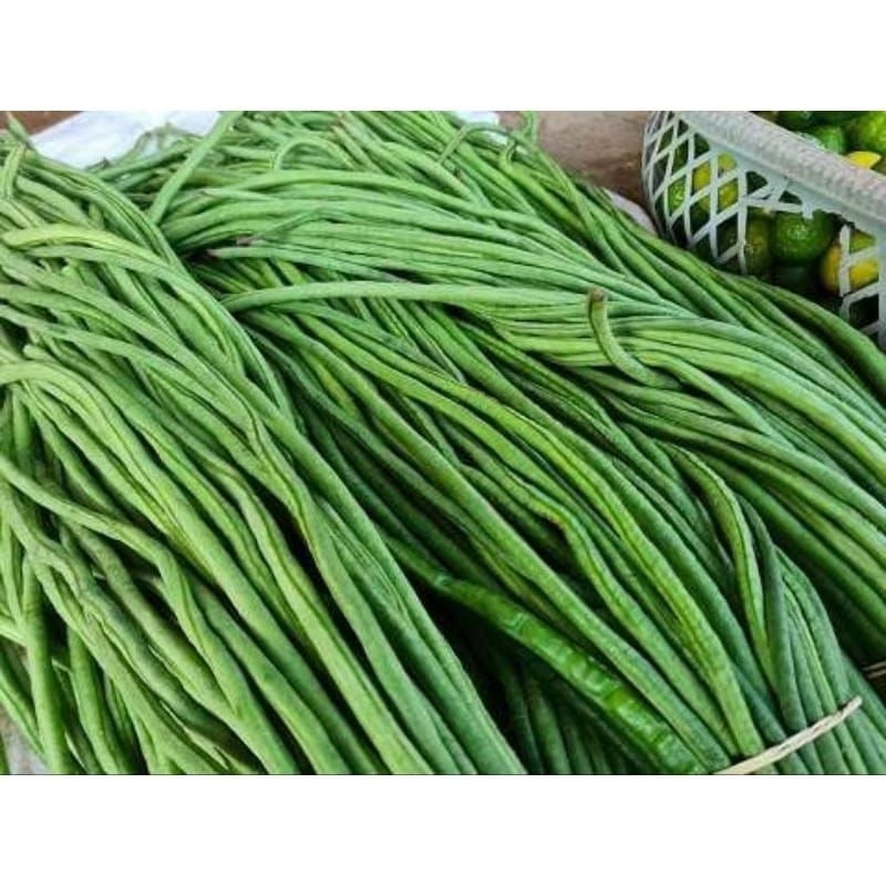 

Kacang Panjang 250 gr-1000 gr