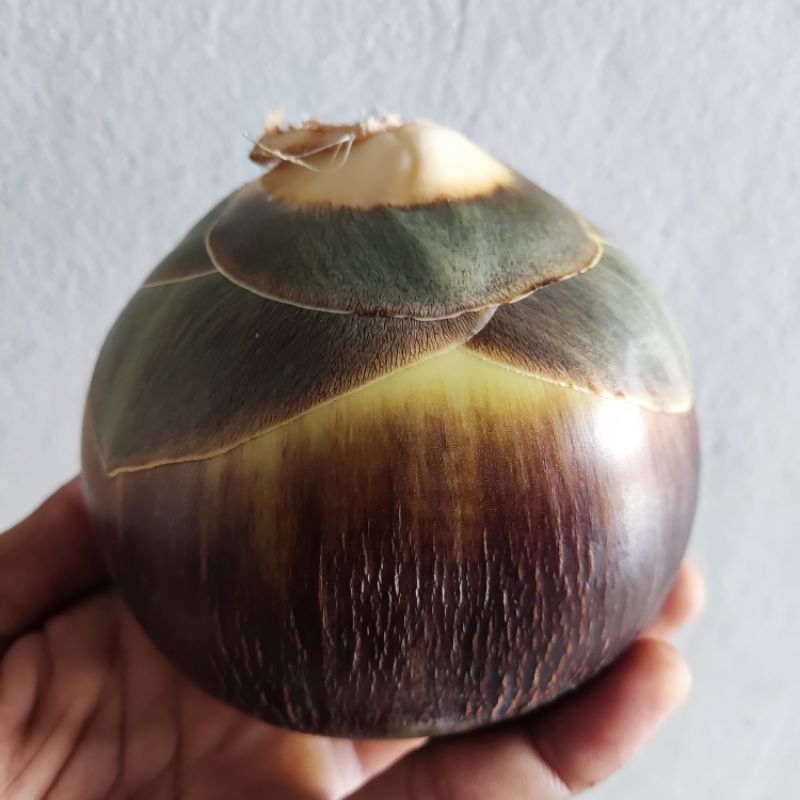 

Buah Lontar Siwalan (1 butir isi 3 biji )