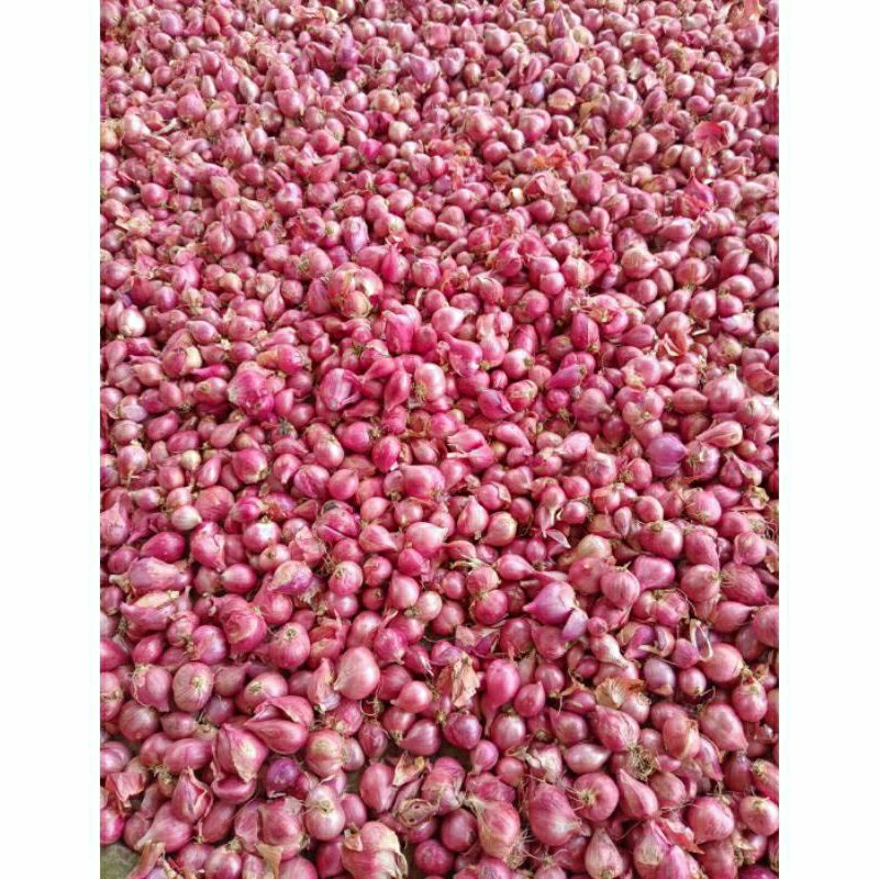 

Bawang Merah Asli NGANJUK 1kg BESAR