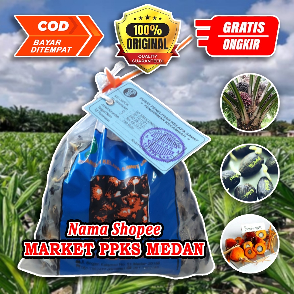 PPKS DxP SIMALUNGUN UNGGUL MEMILIKI SERTIFIKAT