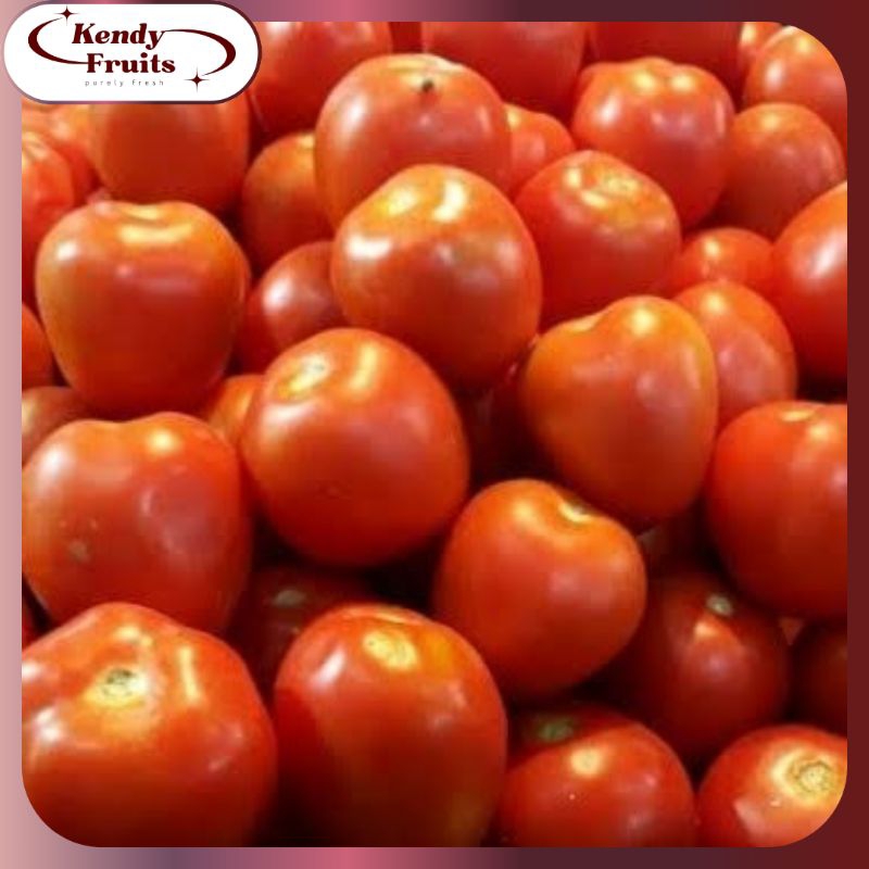 

TOMAT Merah 500 Gr | Fresh Sehat Segar
