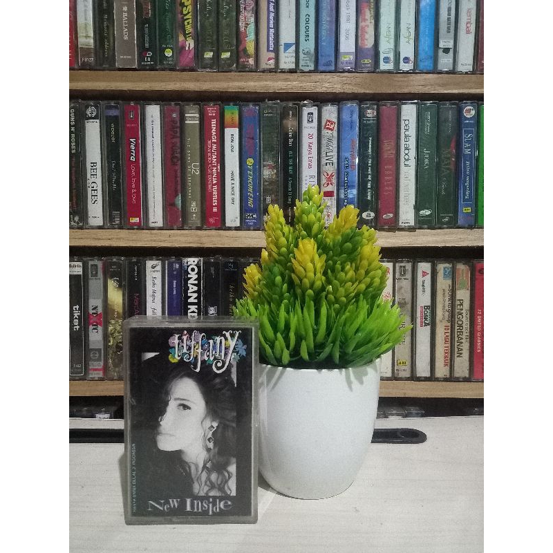 KASET TIFFANY NEW INSIDE