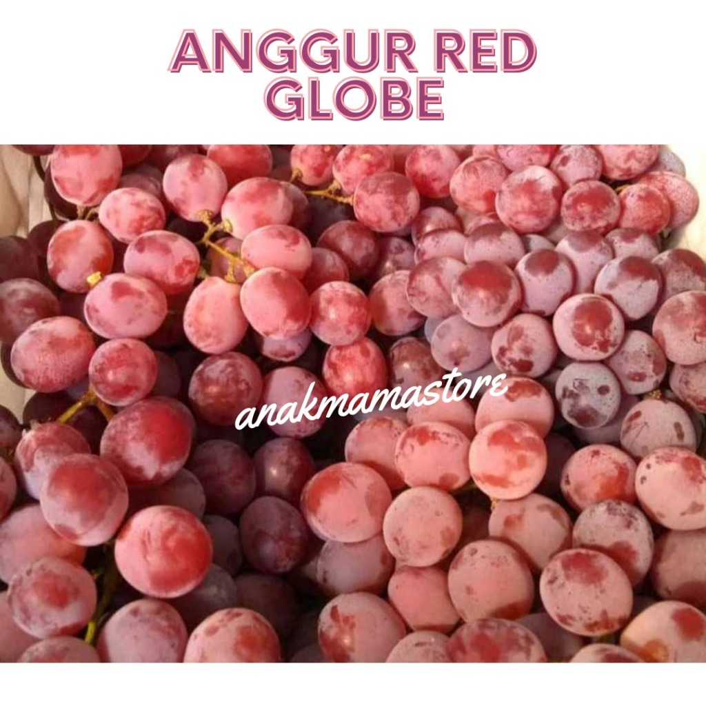 

Anggur Red Globe 500Gram