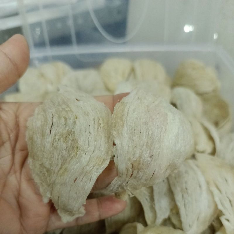 

sarang burung walet mangkok original kualitas premium natural 50 gr 100 gr