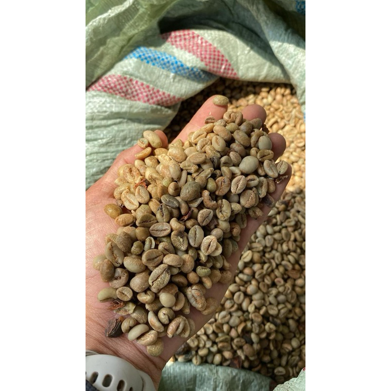 

BIJI KOPI ROBUSTA SUPER