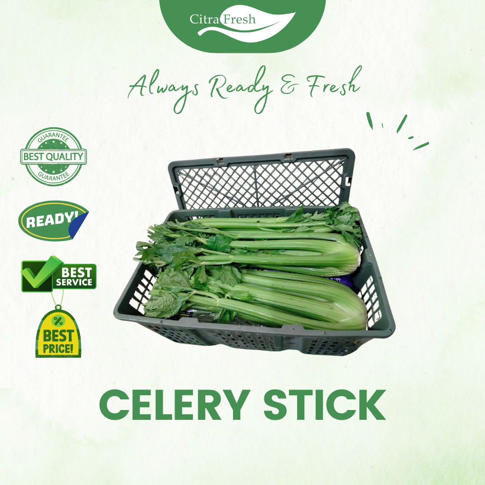 

CITRA FRESH - Celery Stick 10 Kg - Selalu Ready dan Fresh