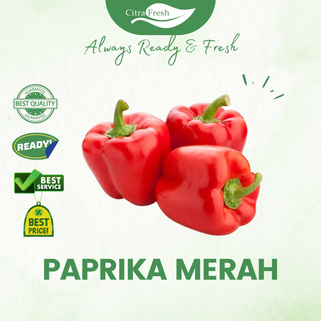 

CITRA FRESH Paprika Merah 1 Pcs (200-300 Gram) - Selalu Ready dan Fresh