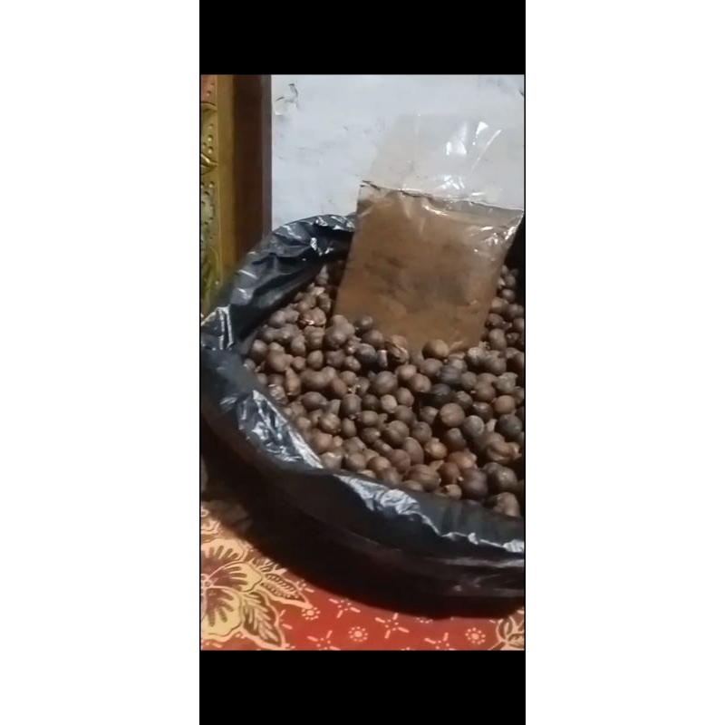 

kopi glondongan Luifah