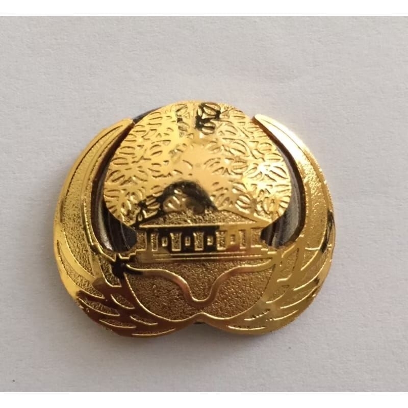pin korpri asn premium lapis emas