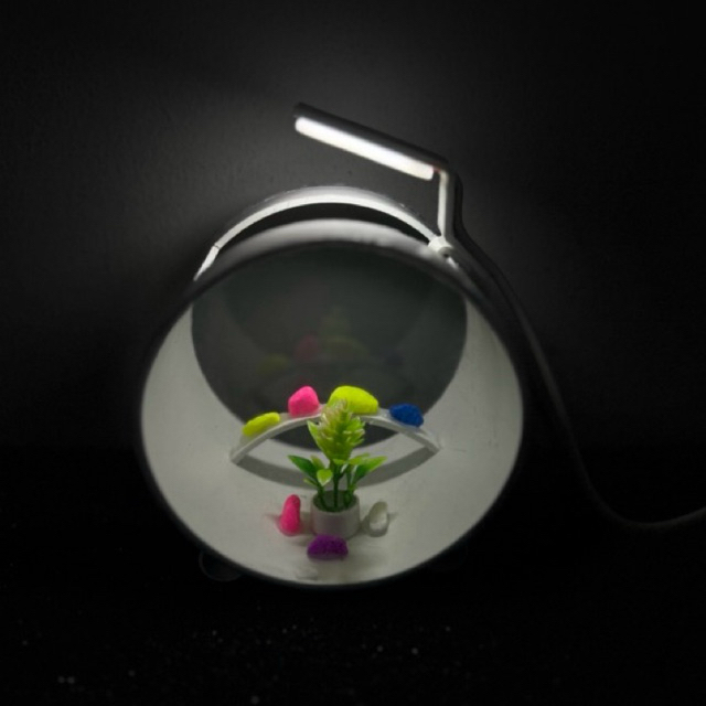 Akuarium Mini Ikan // Akuarium Mini Cupang // Akurium Bulat