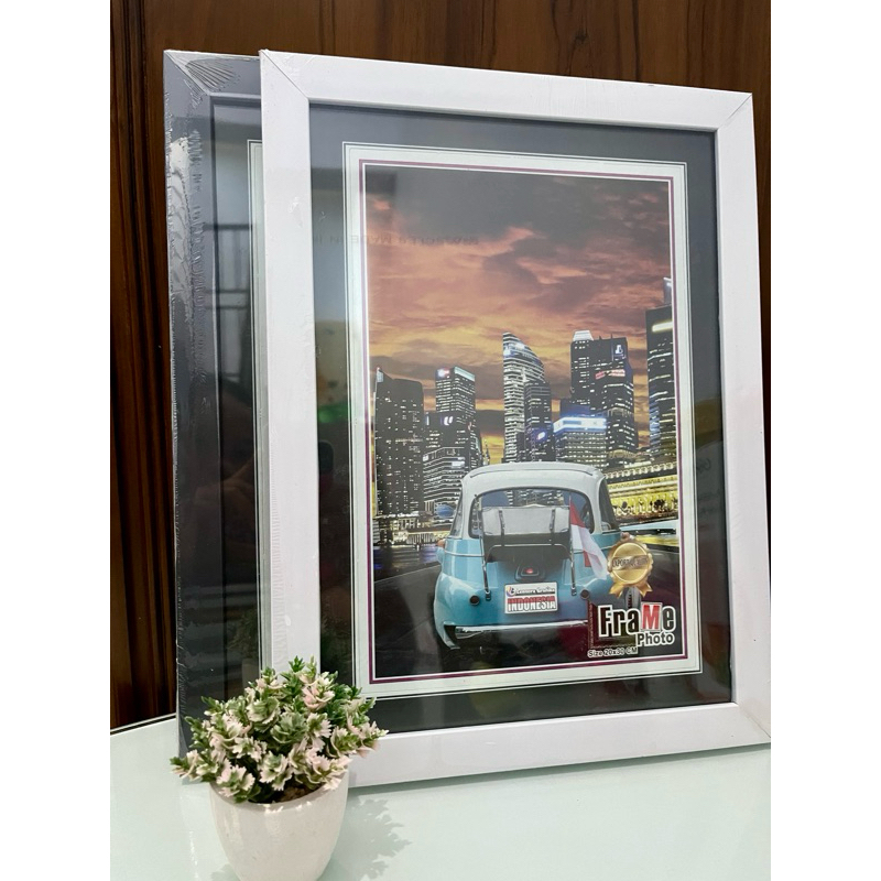 PIGORA/FRAME UK 10RS/10R JUMBO MINIMALIS