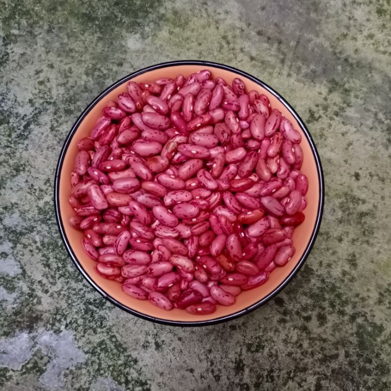 

KACANG MERAH SENEREK | KACANG MERAH | KACANG KORO| SENEREK MURAH | KACANG JOGO