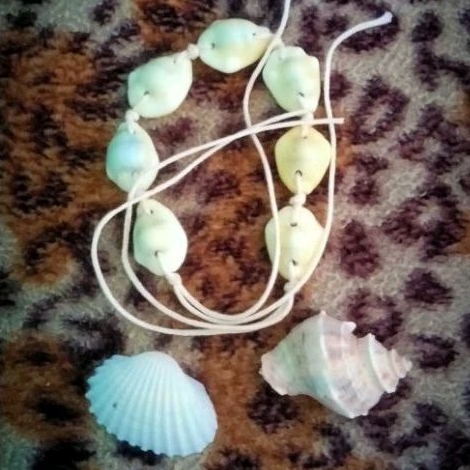 Gelang tangan dari kerang laut buli kopi kuning natural