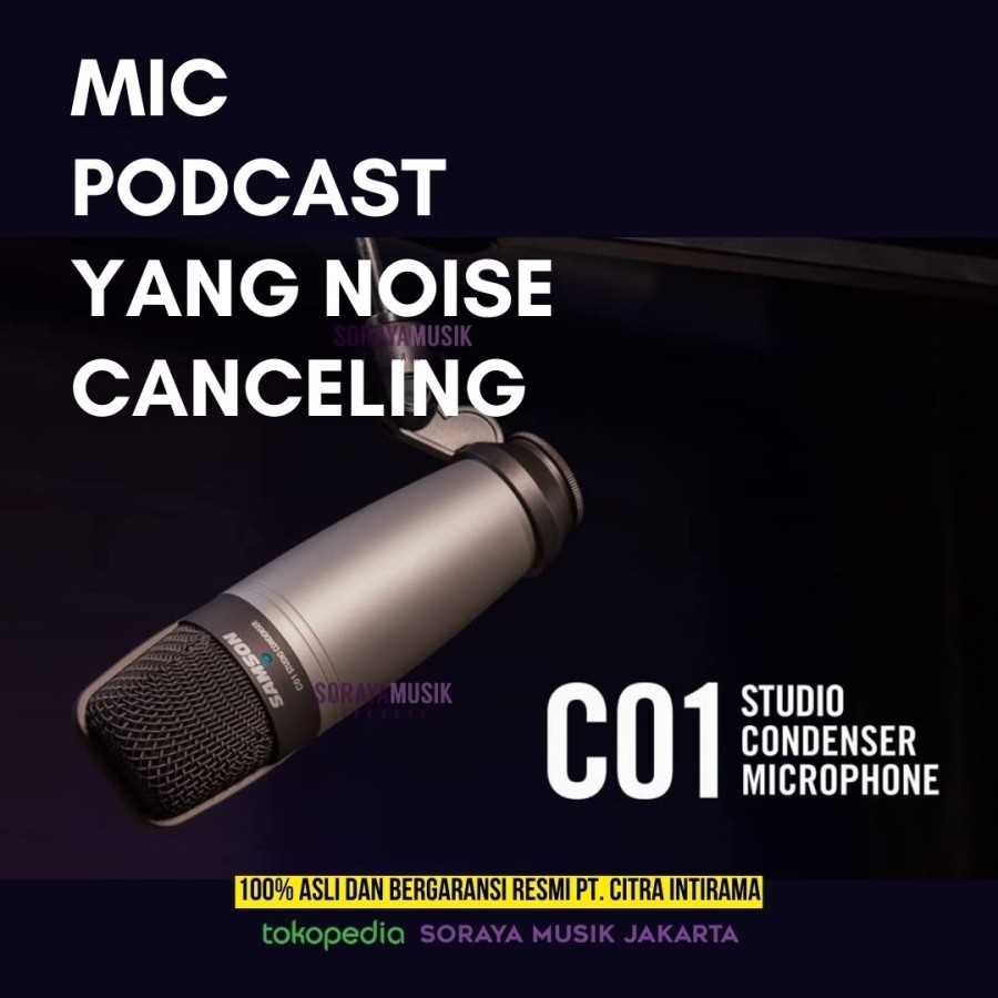 Samson C01 Single Pattern Condenser Microphone Original Samson