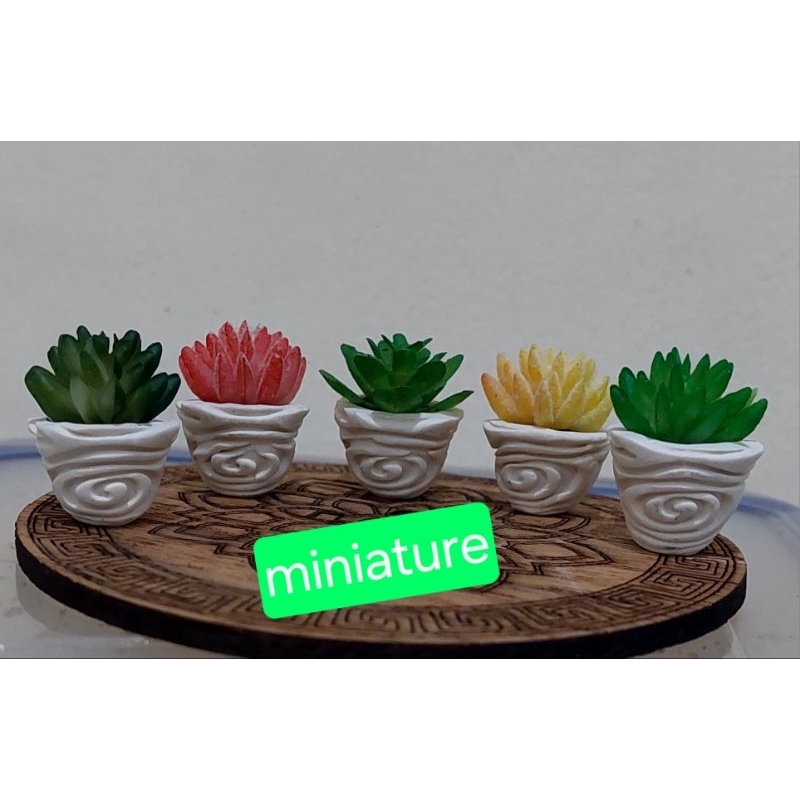 miniatur pot bunga kaktus