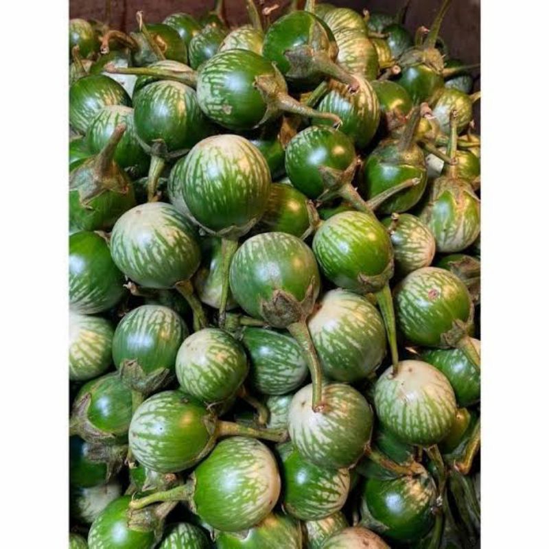 

terong hijau/lalap berat 1kg
