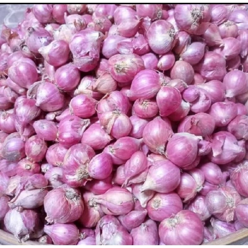 

TERMURAH!! BAWANG MERAH SEGAR & BESAR 1 KG