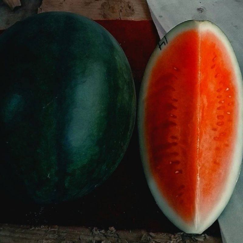 

Semangka merah Jupe (Non-Biji)