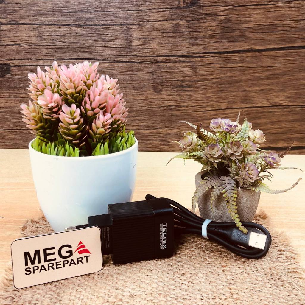 Charger Tecnix CHR-094 Type C