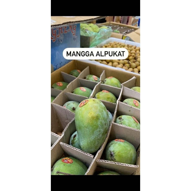 

Mangga Alpukat Super 1Kg