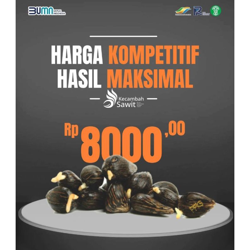 Harga Eceran 8000/Butir PPKS DXP 540 ORIGINAL MEDAN PELEPAH PENDEK SERTIFIKAT