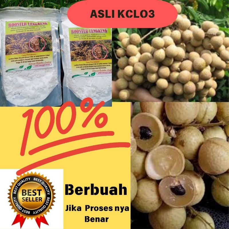 Kualitas Terjamin..!! Booster Klengkeng Kclo3, Booster Klengkeng Murni