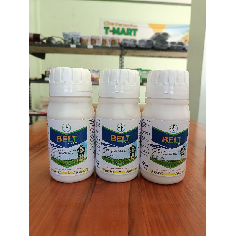 Belt Expert 250ml  Insektisida obat sundep beluk padi