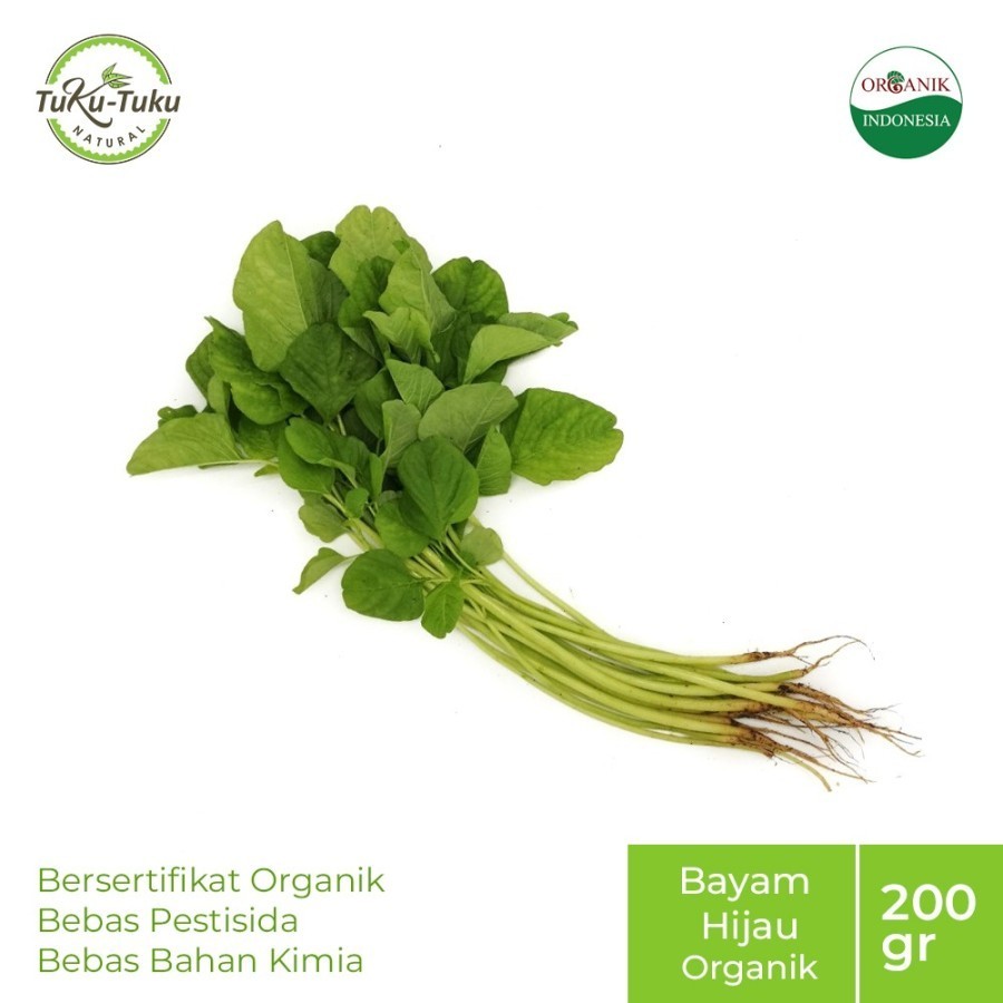 

PAY 2 GET 3 BAYAM HIJAU ORGANIK BSP FARM 200GR