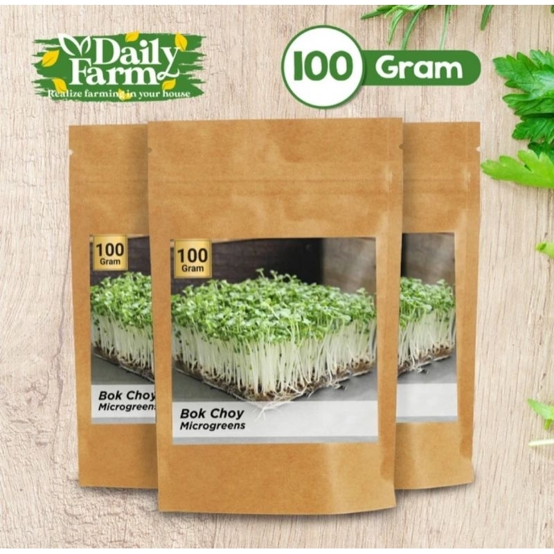 Benih Sayur Microgreen - Microgreen Bok Choy ( 100 Grm )