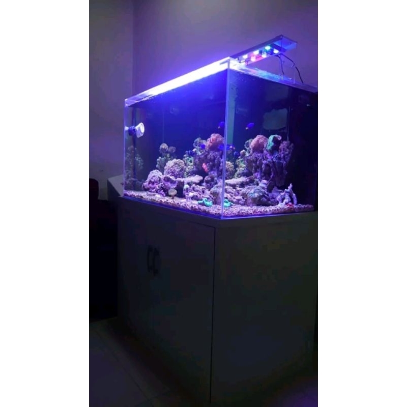 lampu 60cm 70cm 72w 3 dimmer sps lps coral reef aquarium air laut