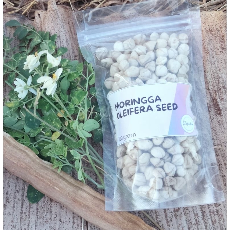 

Moringga oleifera seed 100 gram || biji kelor kupas || kering pohon