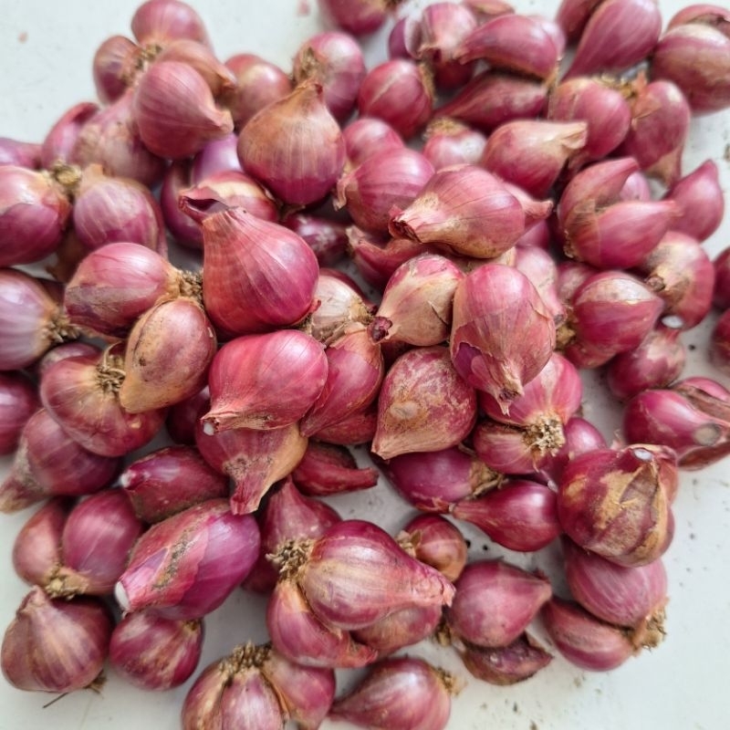 

Bawang merah 1kg campur sesuai stok yang ada