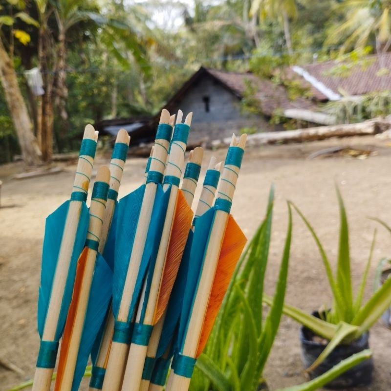 1 lusin perkasa arrow ramin 8mm vanesh bulu entok