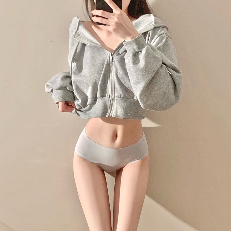 Seamless Underwear Grey / Aerie Panty Celana Dalam Wanita