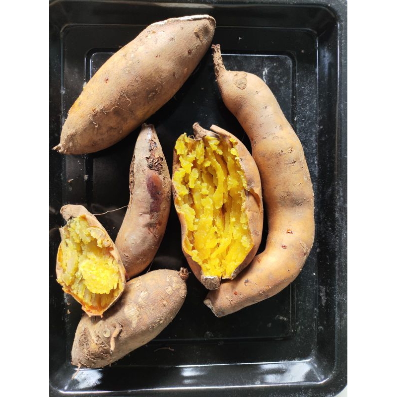 

Ubi Cilembu Madu Asli Cilembu Rasa Manis Lembut