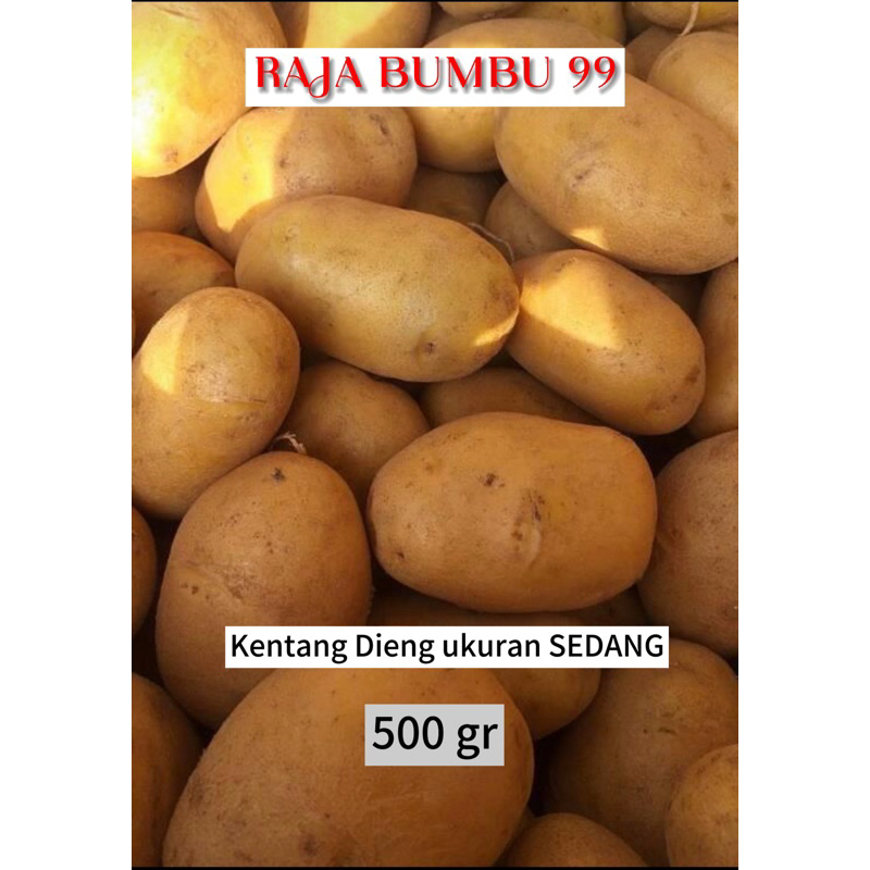 

KENTANG DIENG ASLI ukuran Sedang 500 gr