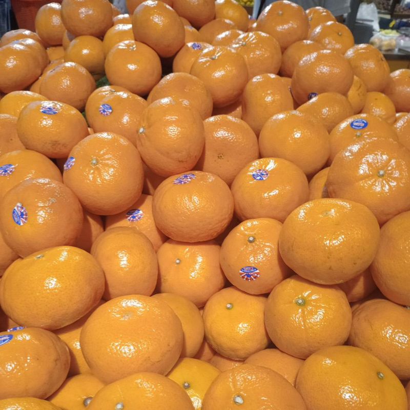 

Jeruk Mandarin 500g