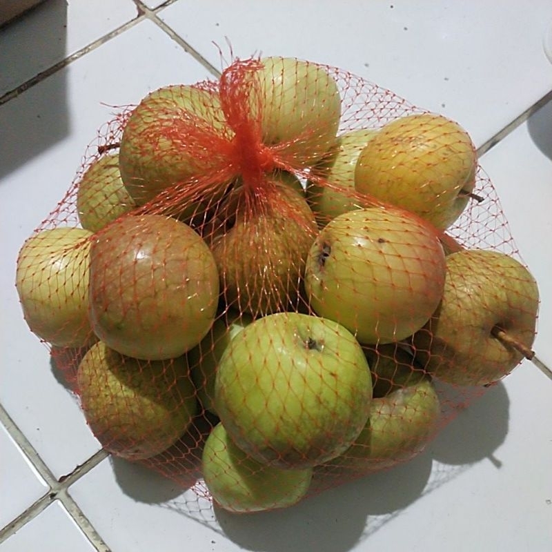 

Apel Malang Kuning Matang/Kuning berat 1kg