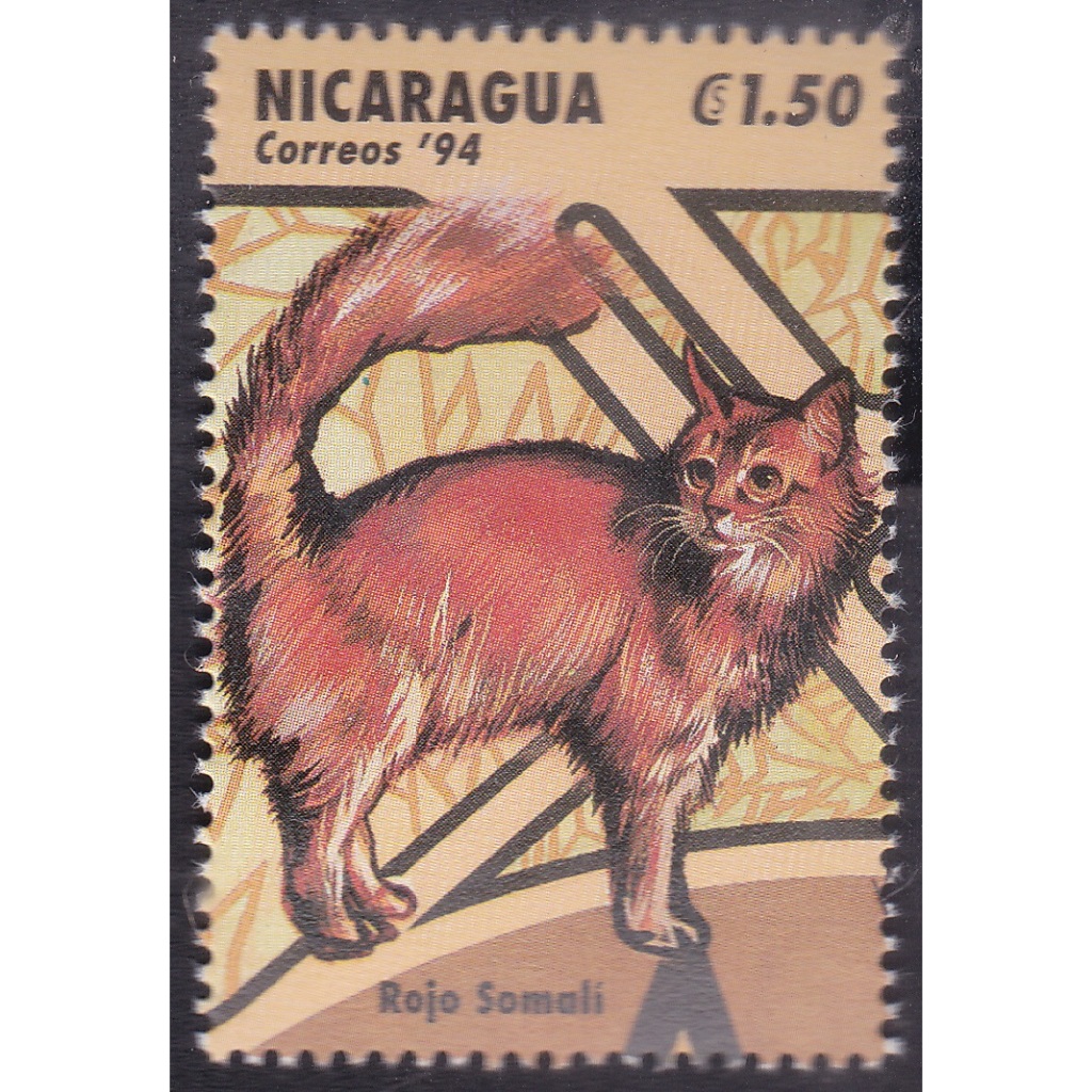 

A 11168 SATU BUAH PRANGKO NICARAGUA TAHUN 1994 TEMA SATWA KUCING ROJO SIMALI DENGAN KONDOSI MNH MINT NEVER HINGED