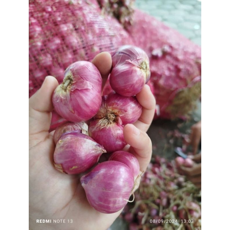 

bawang merah bima super 1kg jumbo an