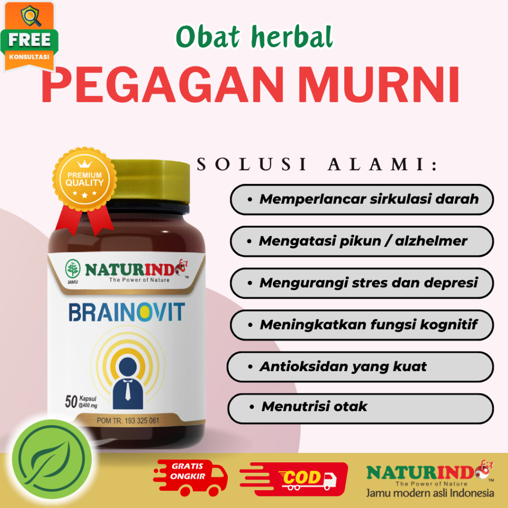 Vitamin Otak Nutrisi Otak Obat Herbal Meningkatkan Daya Ingat Otak Brainovit Naturindo