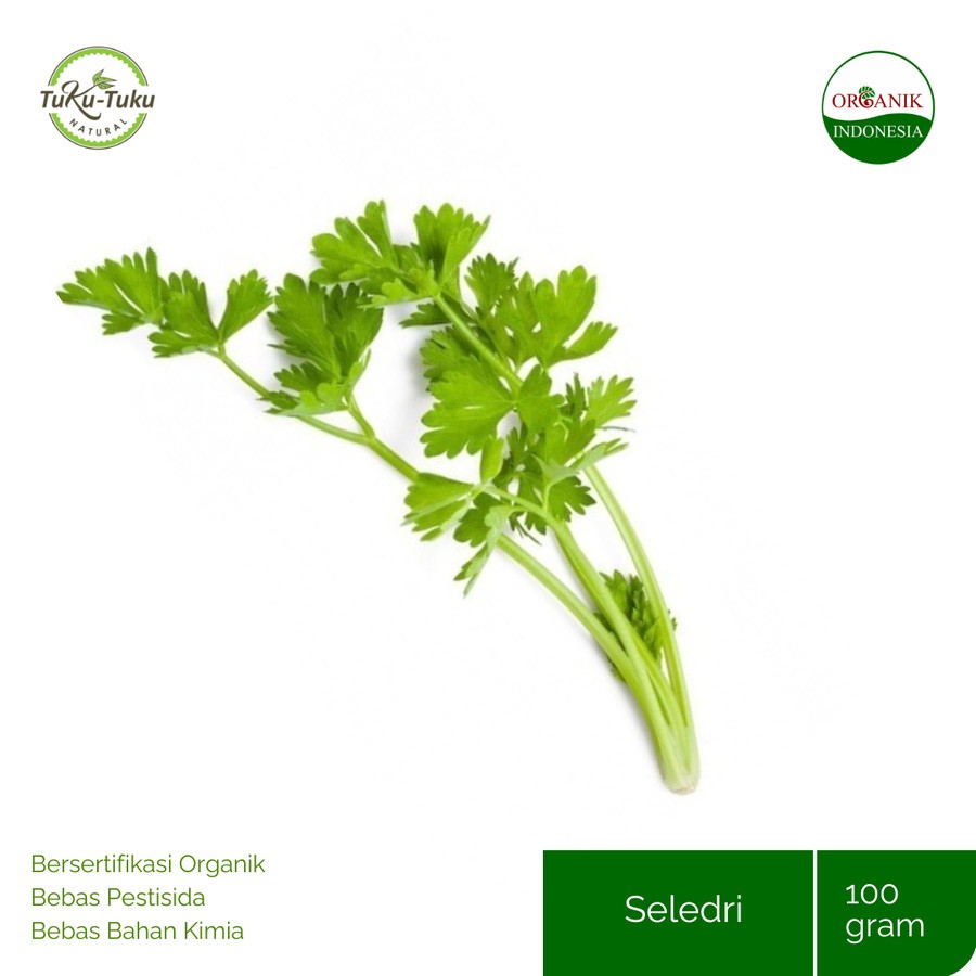 

SELEDRI ORGANIK BSP FARM 100GR