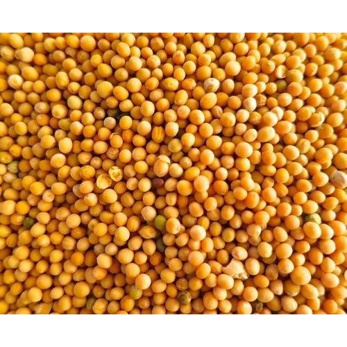 

Mustard Seeds | Biji Sawi [ Black | Yellow ] Premium Import