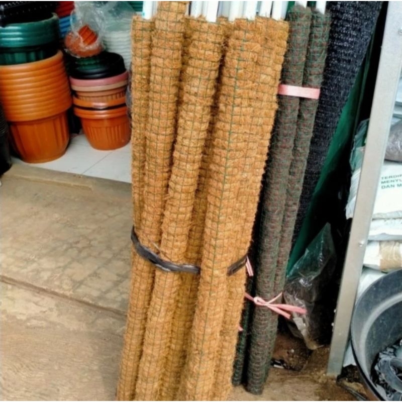 Ajir tiang penyangga tanaman - turus 1 meter