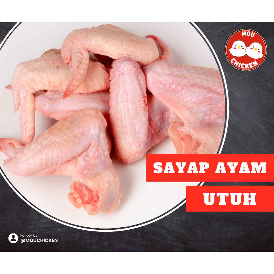 

Sayap Ayam Segar Fresh & Frozen Bandung
