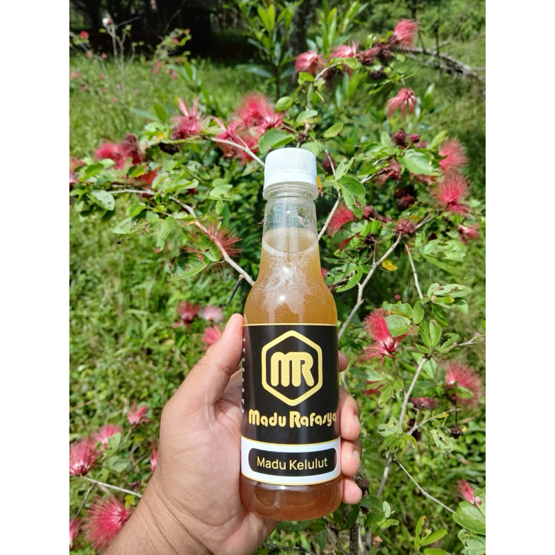 

Madu Kelulut Rafasya