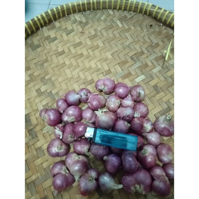 

BAWANG MERAH TANGGUNG BESAR - SUPER